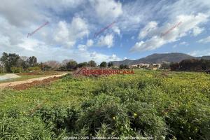 Terreno, Cruillas - San Giovanni Apostolo, Palermo