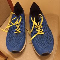 Nike Zoom Pegasus 36