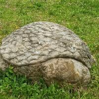 tartaruga in pietra antica 