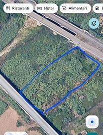 Terreno 1000 mq zona altavilla milicia