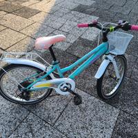 Bicicletta