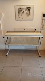 taglierina professionale 
