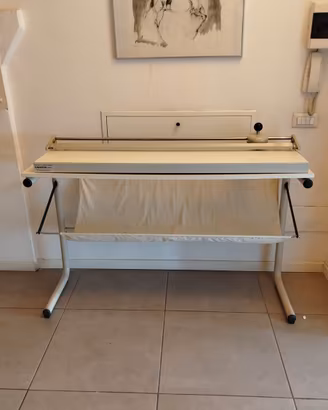 taglierina professionale 