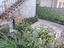 Immagine 29