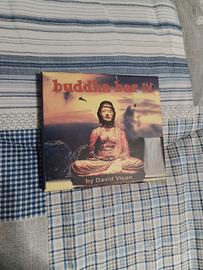 Cd Buddha bar volume IV
