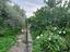 Immagine 12