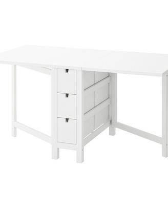 Tavolo IKEA NORDEN banco