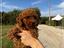 Immagine 6