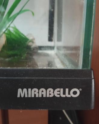 ACQUARIO Mirabello  MIR70/15