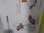 Immagine 5