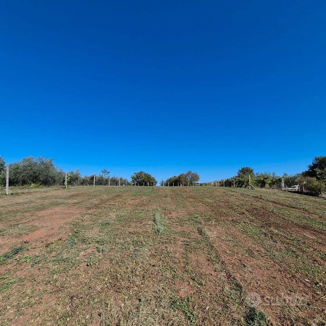 Monte Compatri Terreno Agricolo - Vista 2