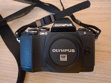 Olympus OM-D E-M10 + Lumix G Vario 14-45mm f/3.5-5
