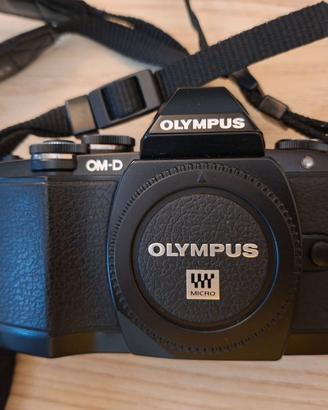 Olympus OM-D E-M10 + Lumix G Vario 14-45mm f/3.5-5