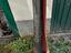 Immagine 3