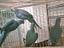 Immagine 4