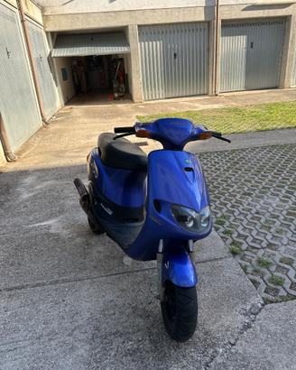 Zip Fast Rider RST
