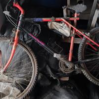 Mountain bike da sistemare 