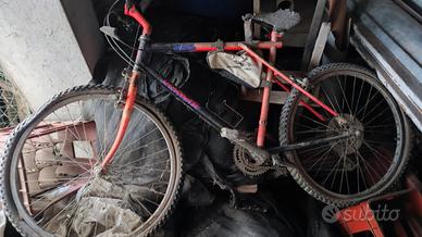Mountain bike da sistemare 