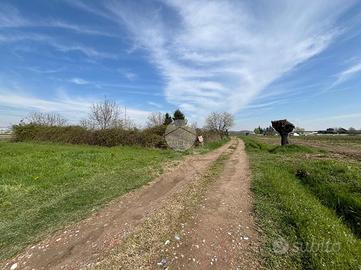 TER. AGRICOLO A NONE