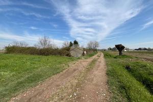 TER. AGRICOLO A NONE