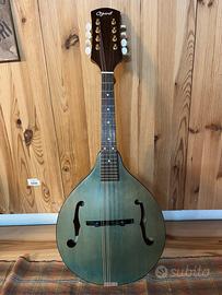 Mandolino  Ozark A style da Bluegrass