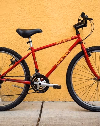 MTB "SPECIALIZED Hard Rock" ruote da 26 pollici 