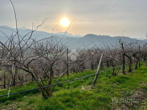 TER. AGRICOLO A BIBIANA