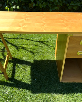 Set: Scrivania + Libreria stile Vintage/Industrial