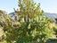 Immagine 22