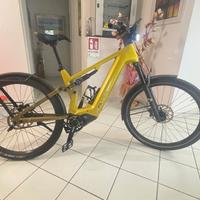 bicicletta FLYER