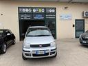 fiat-panda-1-4-natural-power-dinamic-cv-77-taglian