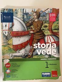 libro la storia che si vede 