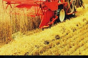 mietitrebbia Laverda m60 - m75 - m84 - claas 