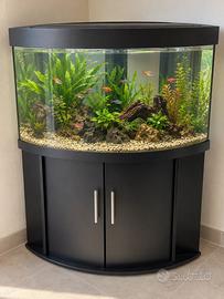Acquario