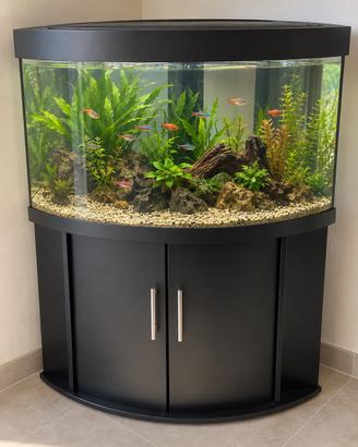 Acquario