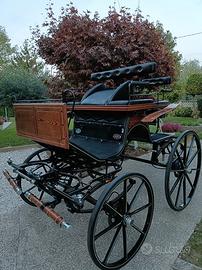 Carrozza Spider