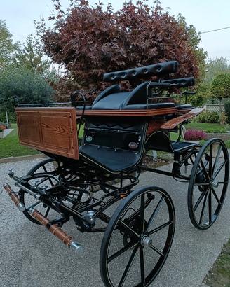Carrozza Spider