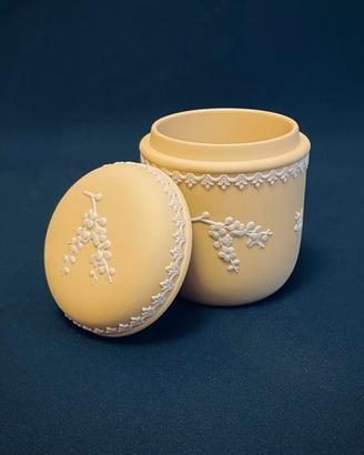 Barattolo Jasperware “Primrose Yellow” (Wedgwood)