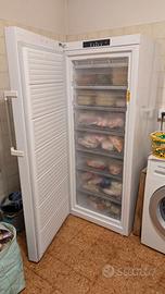 Congelatore verticale Whirlpool WVA31612 NFW 2