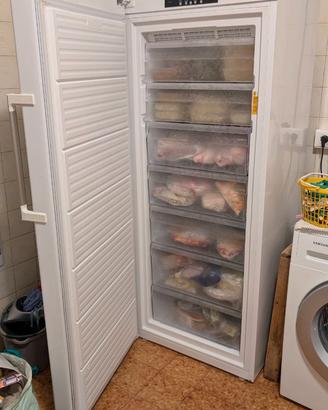 Congelatore verticale Whirlpool WVA31612 NFW 2