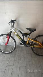 bicicletta 