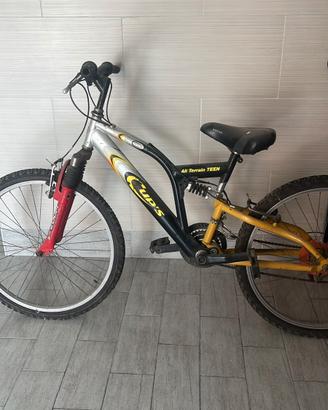 bicicletta 
