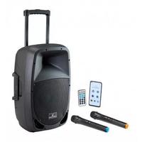 cassa amplificata portatile a batteria con 2 radio