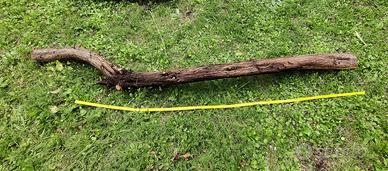 Tronco di ginepro per oggetti artigianato 2m 