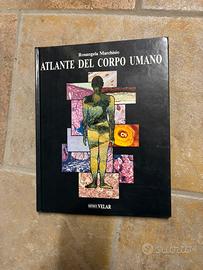 Atlante del corpo umano