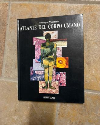 Atlante del corpo umano