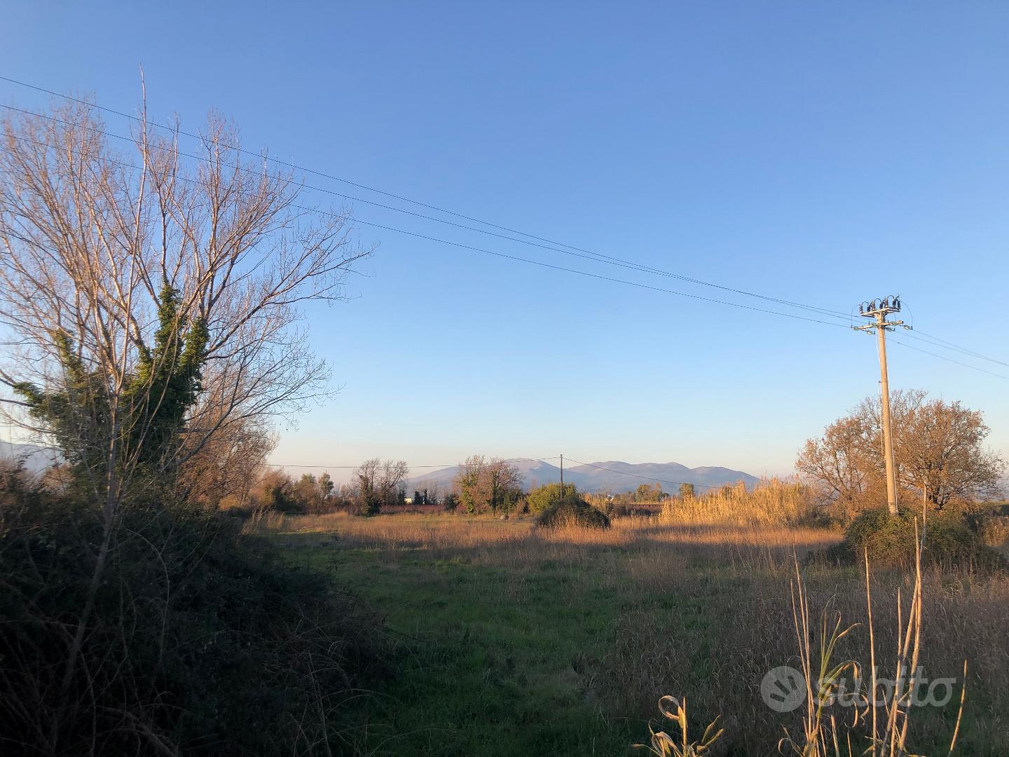 Terreno agricolo in Cellole (CE) - Vista 2