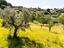Immagine 7