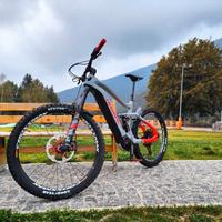 MTB ENDURO HAIBIKE ALL MOUNTAIN 6  Carbonio ebike