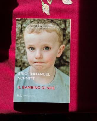 Il bambino di Noè